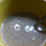 Porridge d’avena Protal